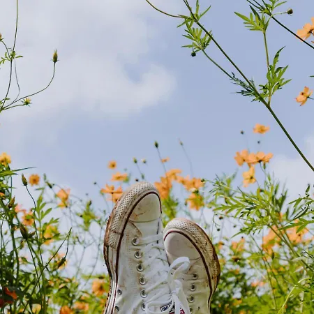 Retrovisiit Leili Palade