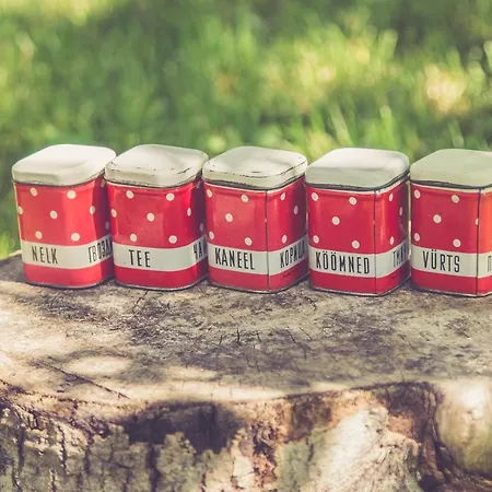 Vakantiehuis Retrovisiit Leili