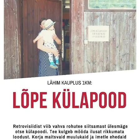 Retrovisiit Leili Holiday home