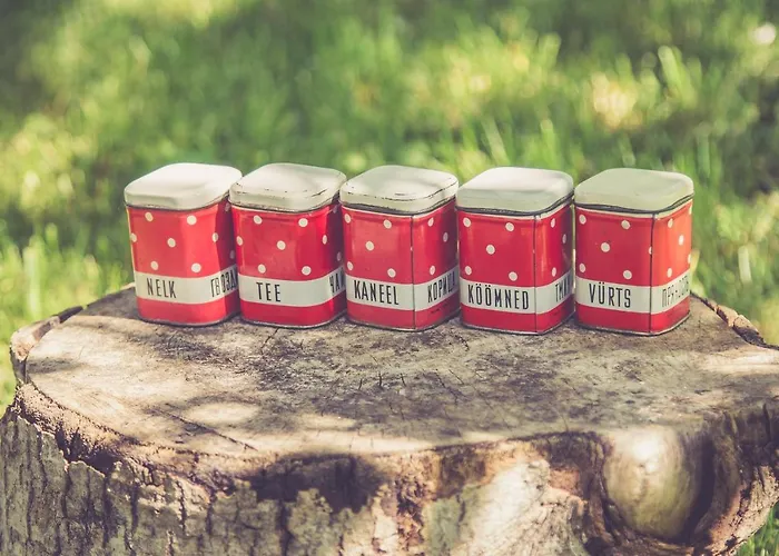 Dom wakacyjny Retrovisiit Leili