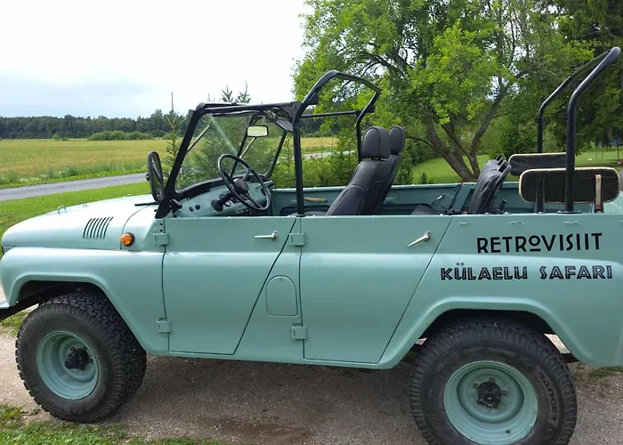 Dom wakacyjny Retrovisiit Leili Palade