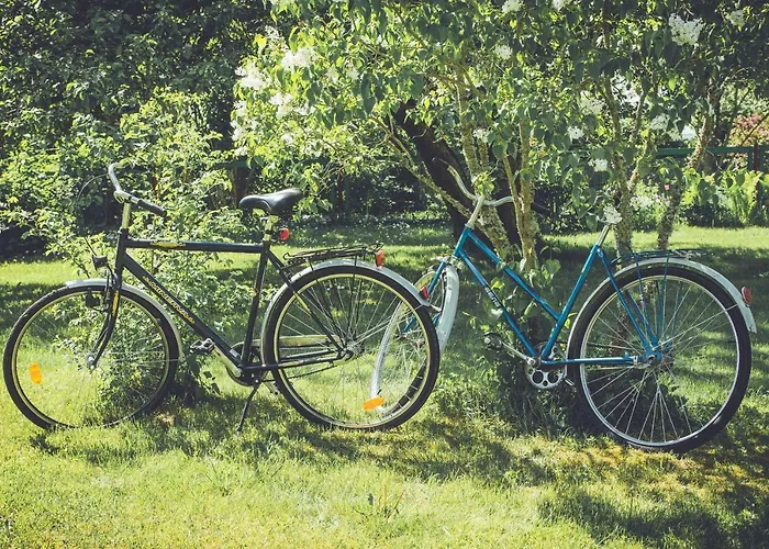 Retrovisiit Leili * Palade