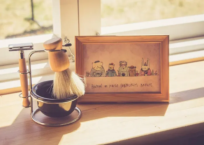 Retrovisiit Leili Dom wakacyjny Palade